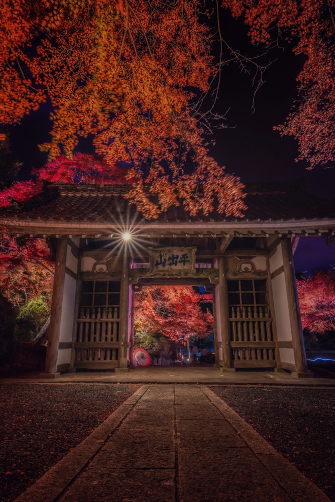 [相片1]這是🍁福島縣寶藏寺秋葉的點亮⠜