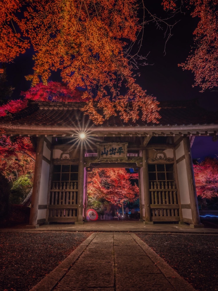 [Image1]It is 🍁 a light up of autumn leaves of Hozoji Temple in Fukushima Prefecture ⠜