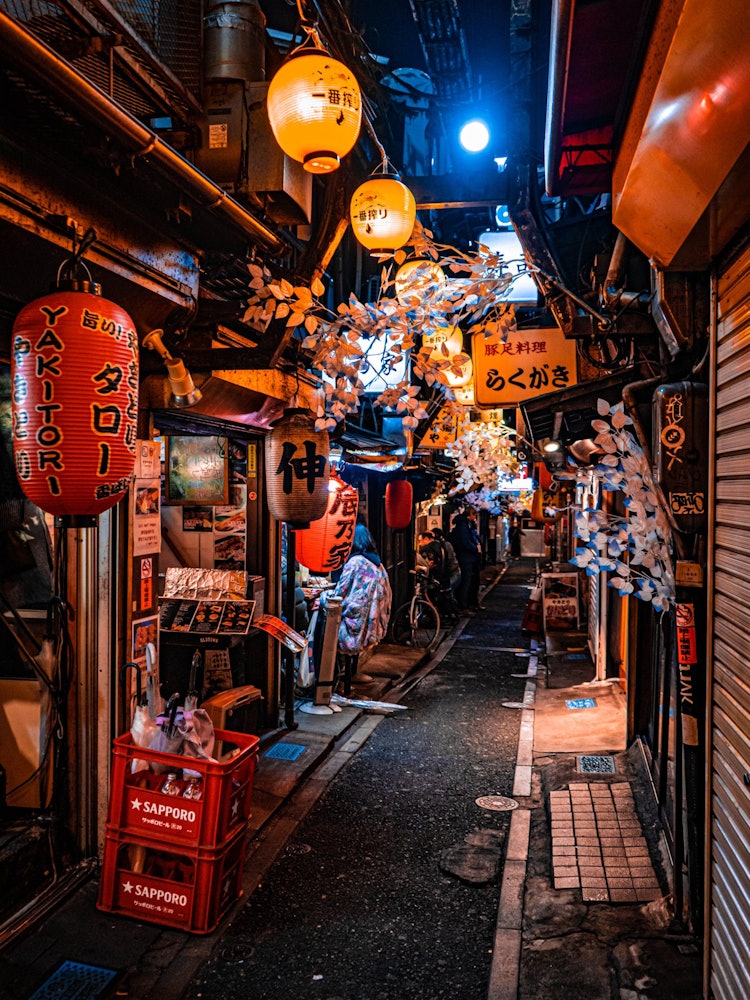 [相片1]东京都新宿区春版《横丁之王》