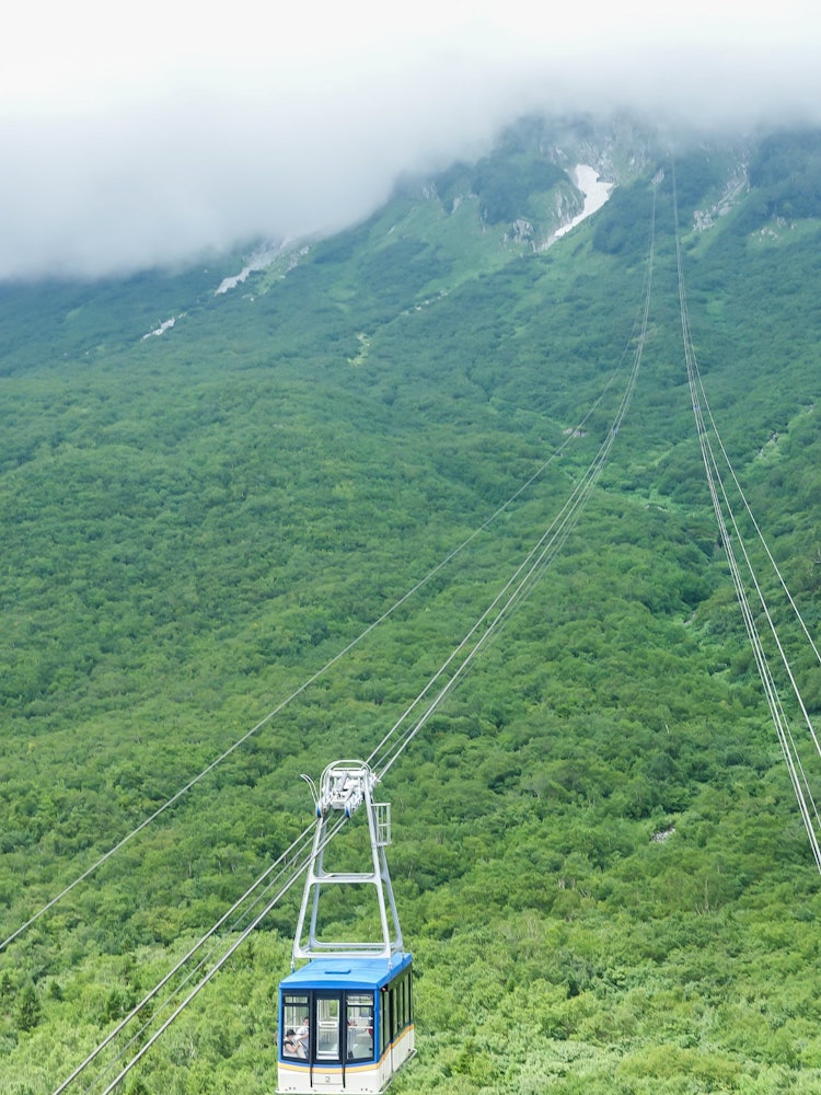 [Image1]It is a ropeway in Toyama Prefecture.In autumn, it is dyed bright red.
