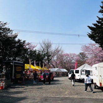 [Image1]Shintoku Shrine Mountain DE Spring FestivalOn a refreshing morning, the temperature has risen since 