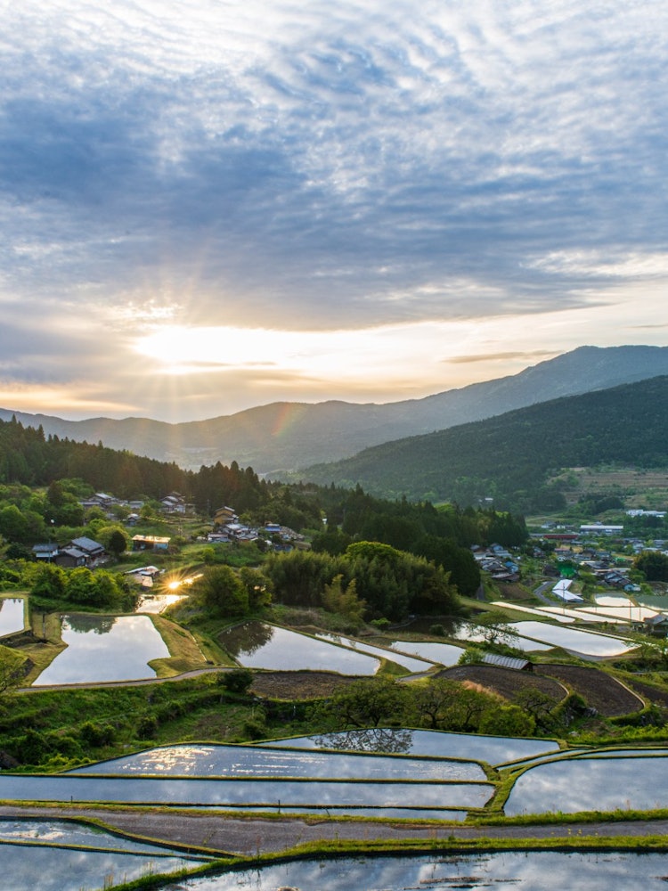 [Image1]Ena City, Gifu Prefecture Sakaori Terraced Rice FieldsIn May, the water is covered and you can see t