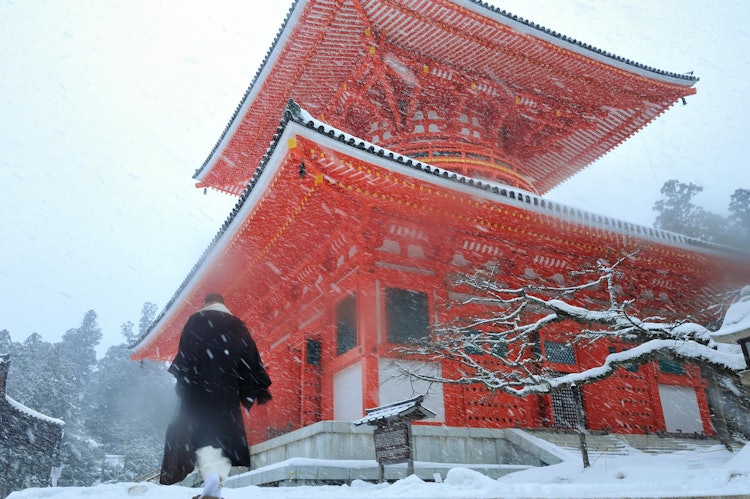 [相片1]這是真言宗主山所在的高野山的冬季景觀。 紅色寺廟是主要的寶塔。