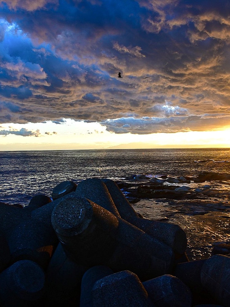 [画像1]久々に江ノ島に行って来た🏝️お気に入りの場所で夕陽を狙ってたら何やら普通じゃないのが撮れたよ🌅分厚い雲にトンビが優雅に舞ってる姿も良いな🤩