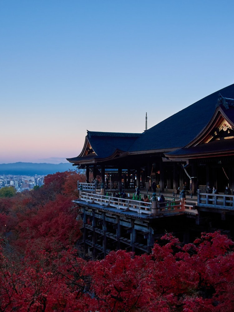 [Image1]It is Kiyomizu-dera Temple early in the morning during the autumn foliage season, just after the gat