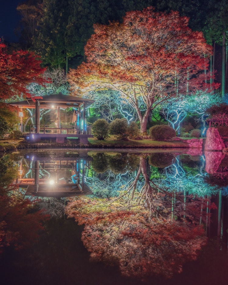 [相片1]宮城縣天守閣自然公園紅葉的反射💠×照明