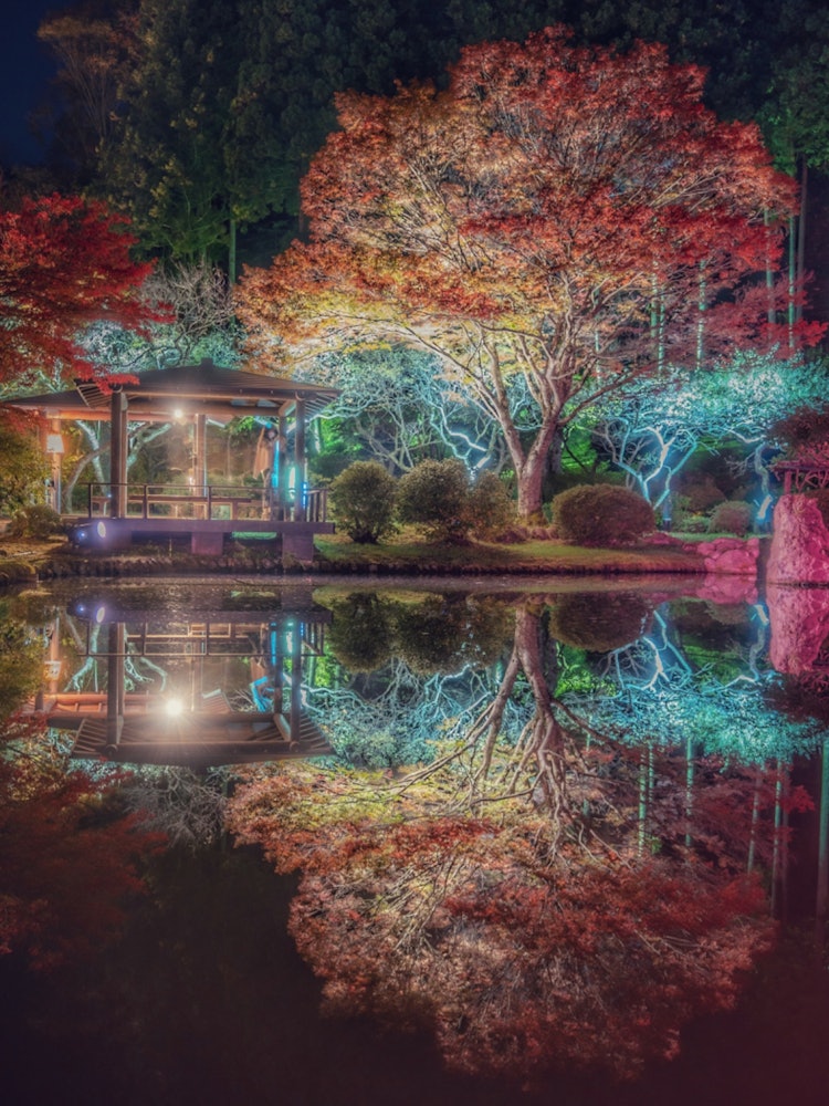 [Image1]Reflection 💠 × illumination of autumn leaves at Castle Tower Nature Park in Miyagi Prefecture