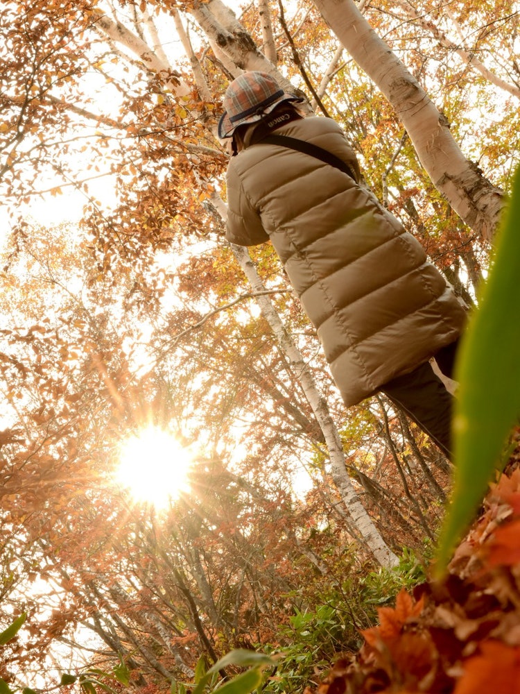 [画像1]四季を味わえる日本。 秋の夕日も素敵ですが、朝陽も澄んだ空気の中昇り、紅葉ととても良い感じだと思いませんか?長野県の志賀高原での夜明けの散策をしながらの1枚です。
