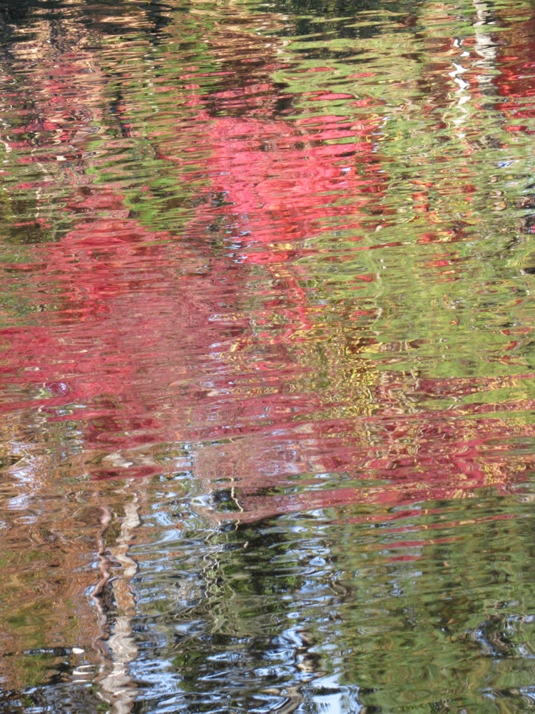[Image1]Watercolor painting of autumn leaves reflected on the surface of the water