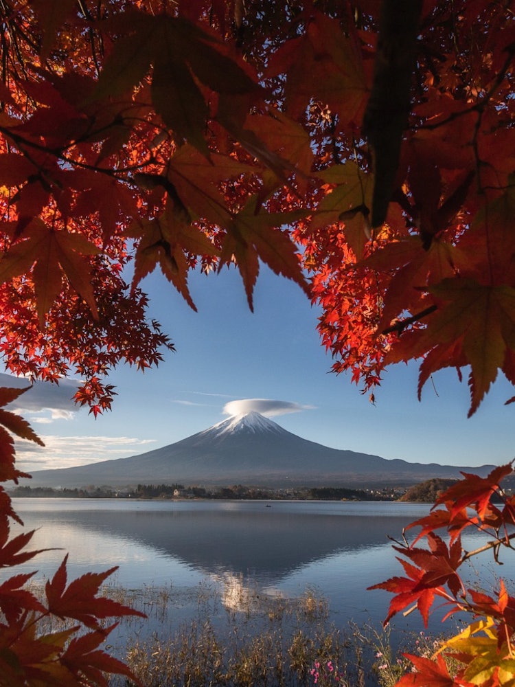 [Image1]When most people think of Mt. Fuji as a symbol of Japan, they think of this mountain. Lake Kawaguchi