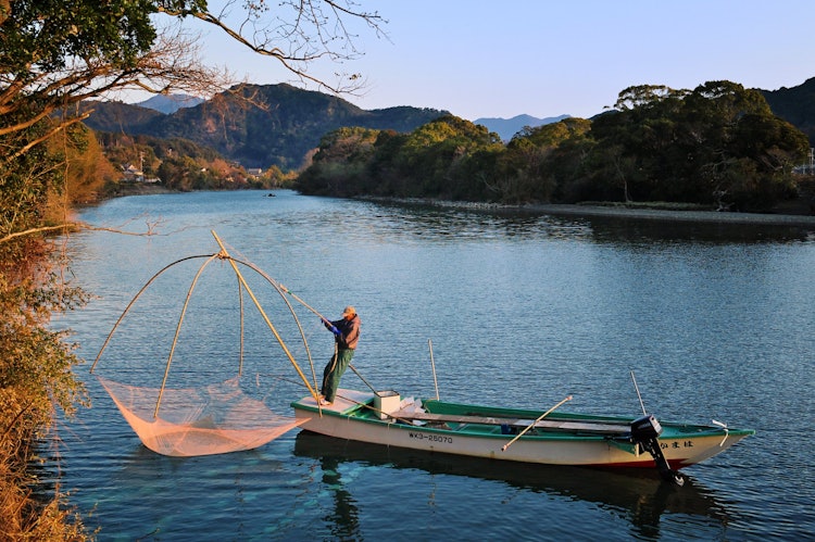 [画像1]和歌山県那智勝浦町太田川の春の風物詩、産卵に上ってくるハゼ科の魚・シロウオを四つ手網で獲る漁です。 朝日に照らされた四つ手網がオレンジ色に染まり、良い瞬間を撮影できました。