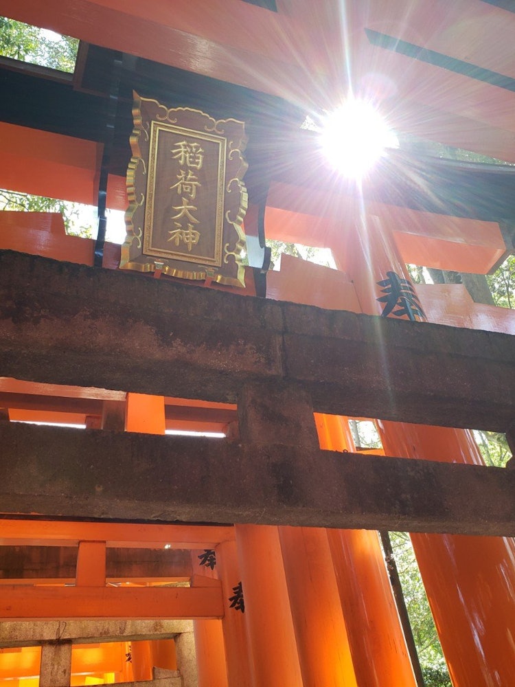 [Image1]Fushimi Inari Taisha Senbon Torii