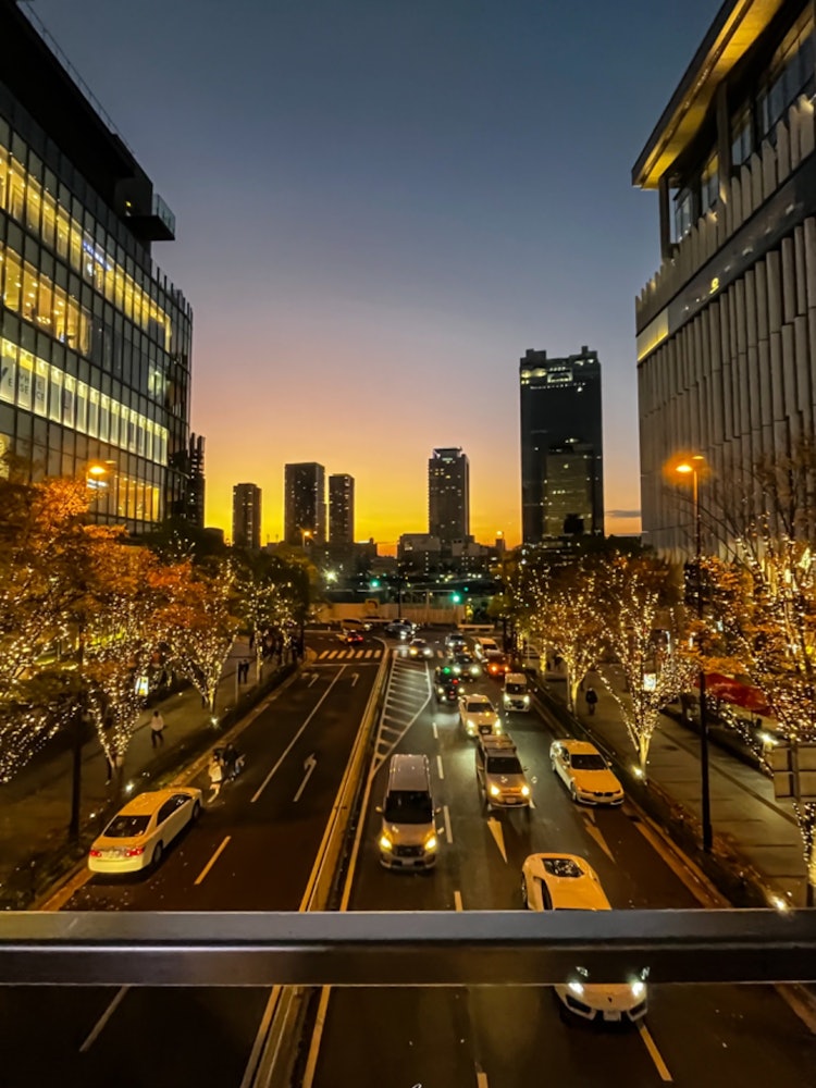 [Image1]Illumination in OsakaThe road at night seen from the pedestrian bridgeSkyscrapers are so cool!This p