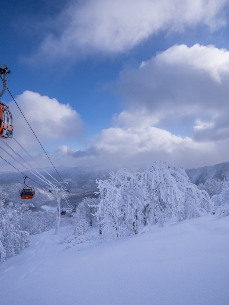 [Image1]Sapporo International Ski Resort the next day after a lot of snow.