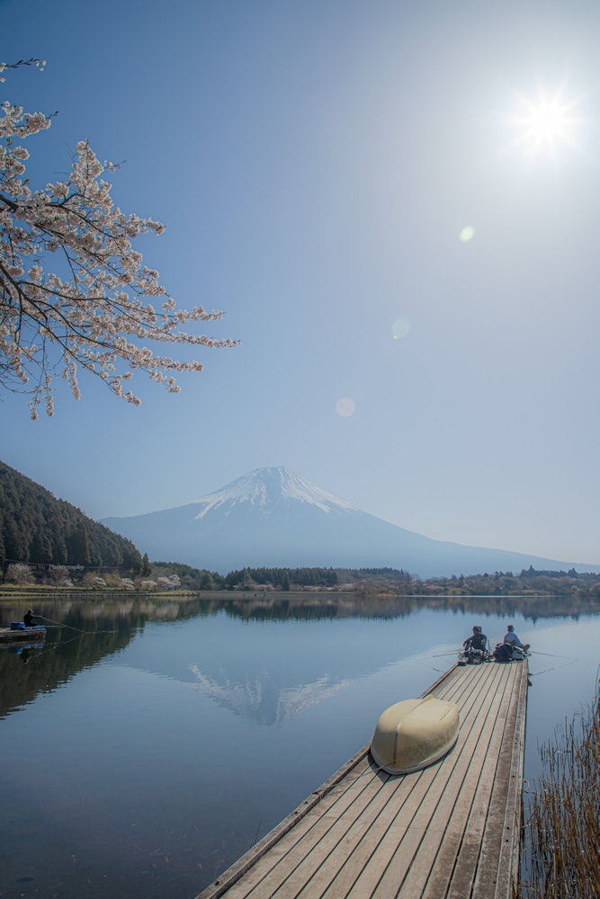 [相片1]日本的自然風光倒置的富士和櫻花我們在無風的日子見面，能夠看到顛倒的富士山。在距離岡山600公里的靜岡縣，我很高興看到不經常看到的風景。在靜岡縣