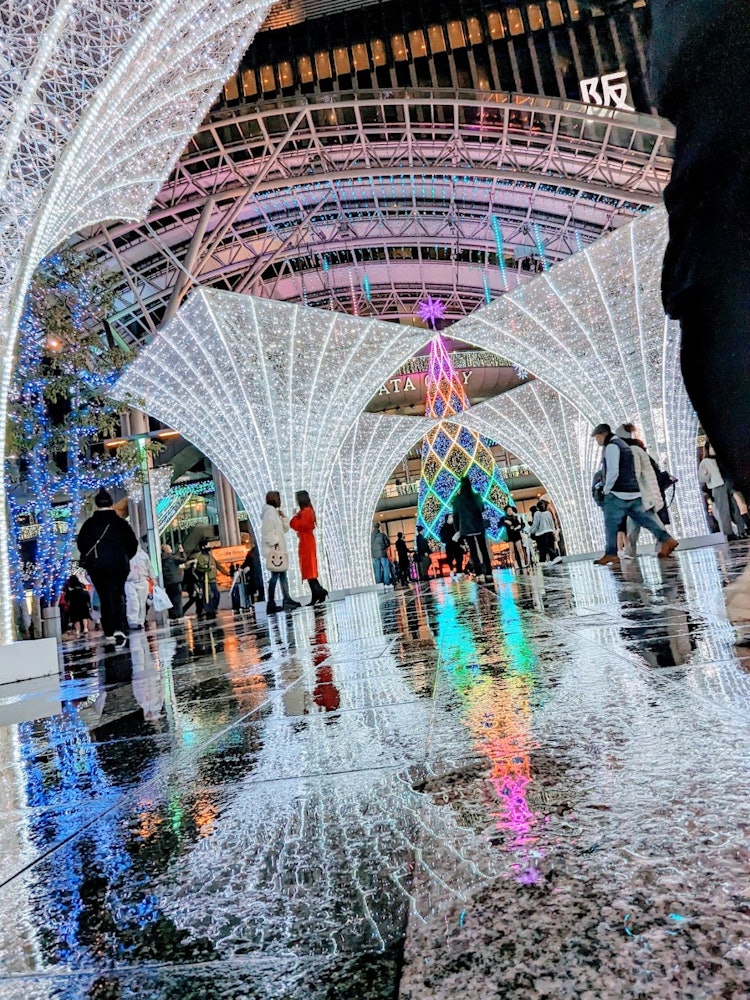 [Image1]Illumination 🎄✨ of Hakata StationIt was raining and my feet were wet, so I was 🥰✨ able to take a nic