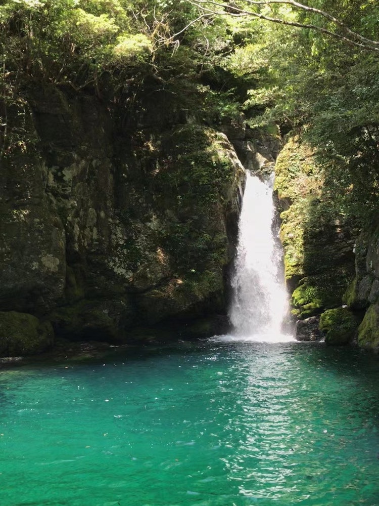 [Image1]Niyodo Blue✨ Truly Beautiful Waterfall ✨