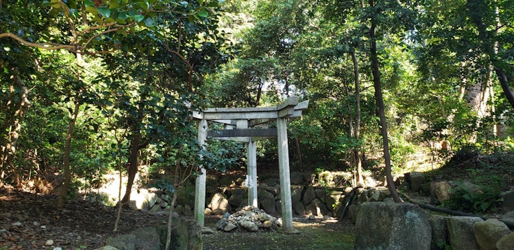 [相片1]京都的强力点。 木岛座马寺三柱鸟居神社。