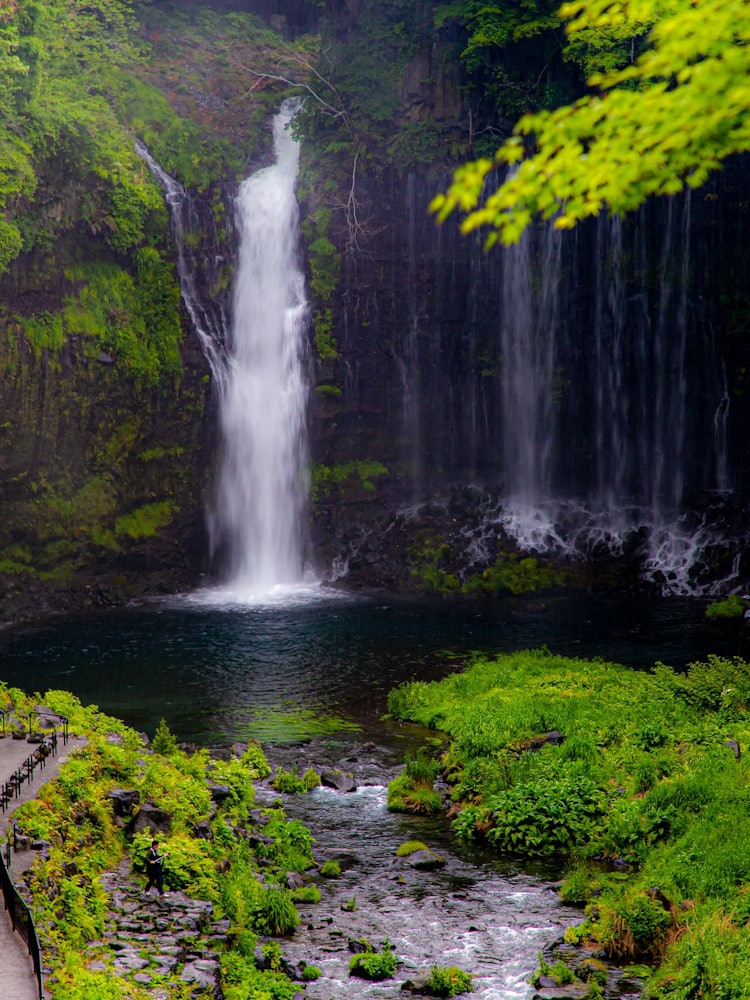 [Image1]Japan places to visit after coronaShira-Ito Waterfall2021/5/1 5 pmIn Shizuoka#After Corona