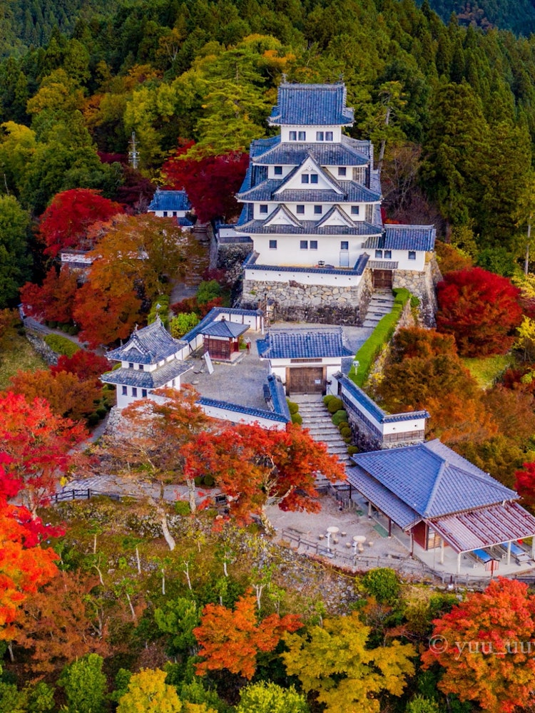 [Image1]Aerial view of Gujo Hachiman Castle in autumnIt is a spectacular autumn castle called the castle tow