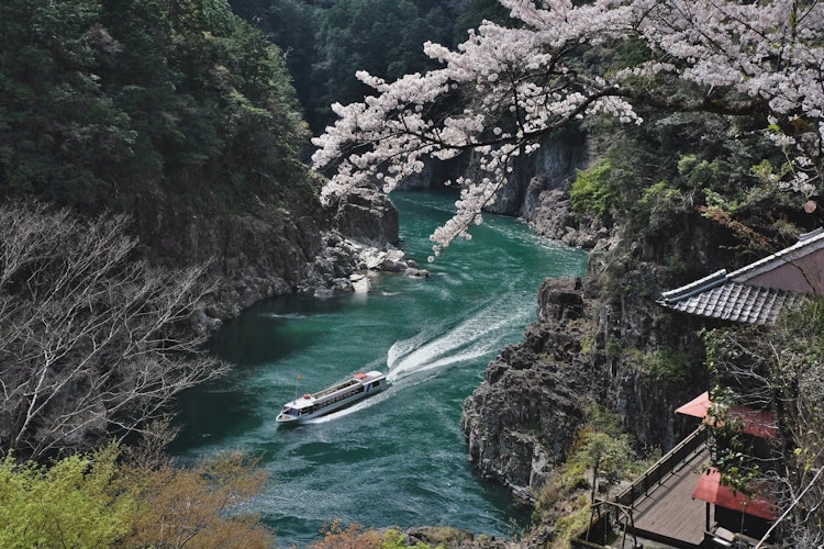[Image1]Torohachicho in Kitayama Village, an enclave in Wakayama Prefecture, has suspended sightseeing boat 