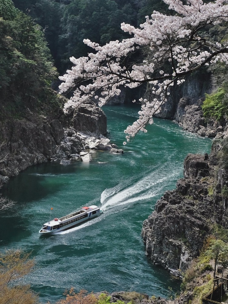 [画像1]和歌山県の飛び地・北山村の瀞八丁、コロナ禍で観光船の運航を休止していますが再開を望んでいます。 以前のように観光客でにぎわってほしいですね。