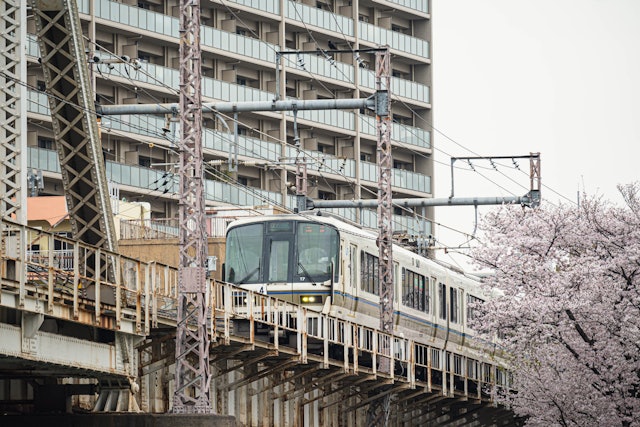 [画像1]大阪大川の鉄橋を走るJR電車。JR桜ノ宮駅近くでは、このように桜を背景に走る電車の姿を盛り込むことができます。