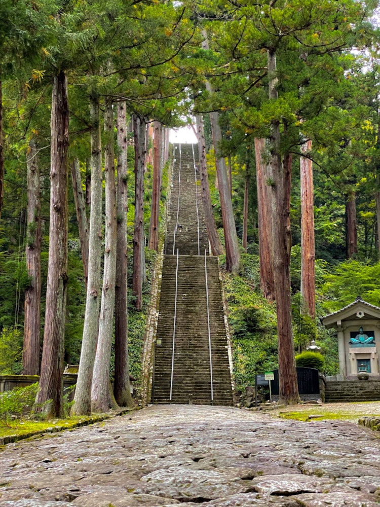 [Image1]There are 287 stone steps leading to the main hall of Minobu-san Kuon-ji Temple, the head shrine of 