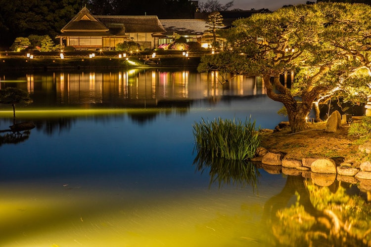 [画像1]岡山市にある日本三名園の一つ岡山後楽園。 毎年８月１日から３１日まで行われる夏の夜のライトアップイベイト「幻想庭園」が開催されています。 期間中にはプロジェクションや音楽会なども開催されています。 少