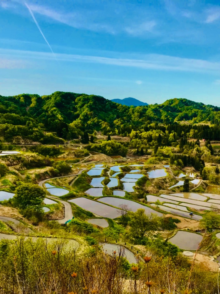 [Image1]Hoshitoge Terraced Rice FieldsTerraced rice fields in Tokamachi City.