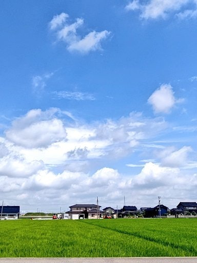 [画像1]地元の富山の風景～青い空に白い雲！ そして青い田んぼ！ごく普通だけど一番穏やかで平和で夏だな～って思う😄
