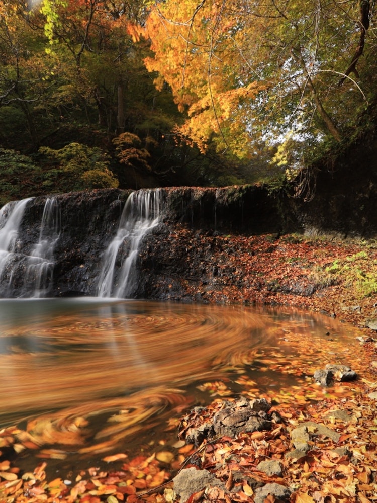 [Image1]This is the autumn foliage scenery of the Kuzumaru River mountain stream in Hanamaki City, Iwate Pre