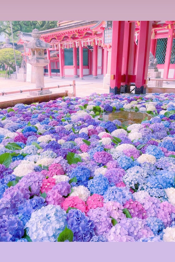 [이미지1]후쿠오카 현의 Dazaifu Tenmangu Shrine아름다운 꽃, 손, 물, 칠석 장식으로 유명합니다.