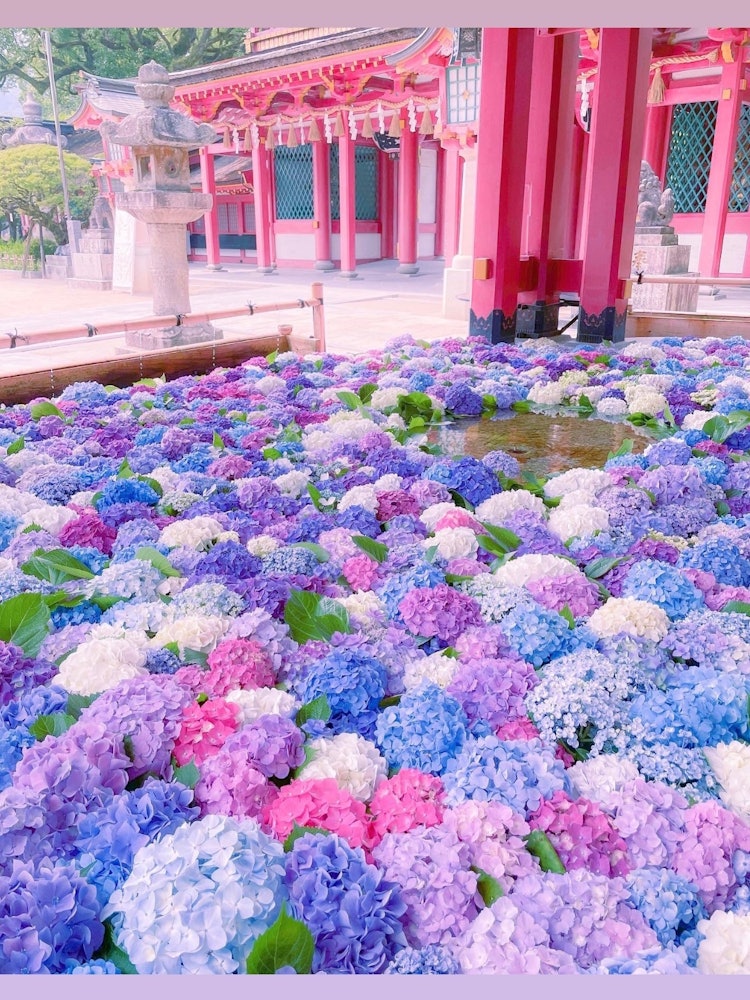 [Image1]Dazaifu Tenmangu Shrine in Fukuoka PrefectureIt is famous for its beautiful flower hand water and Ta