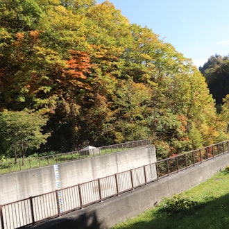 [Image1]I went to Jozankei!　This is around Jozankei Dam