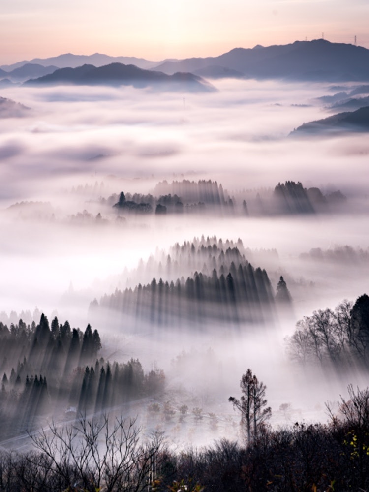 [Image1]Yakuno Kogen, Kyoto.On a sunny day in spring and autumn, it is enveloped in a sea of clouds,When the