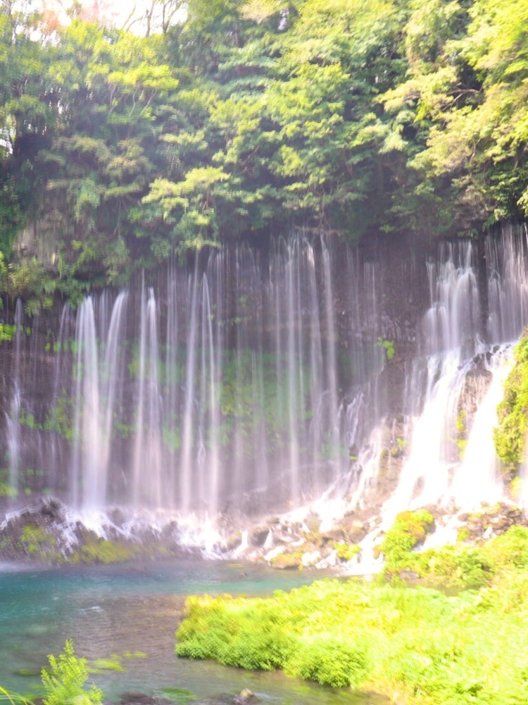 [Image1]It is Shiraito Falls in Shizuoka Prefecture.It was taken in summer, but it was cool and comfortable 