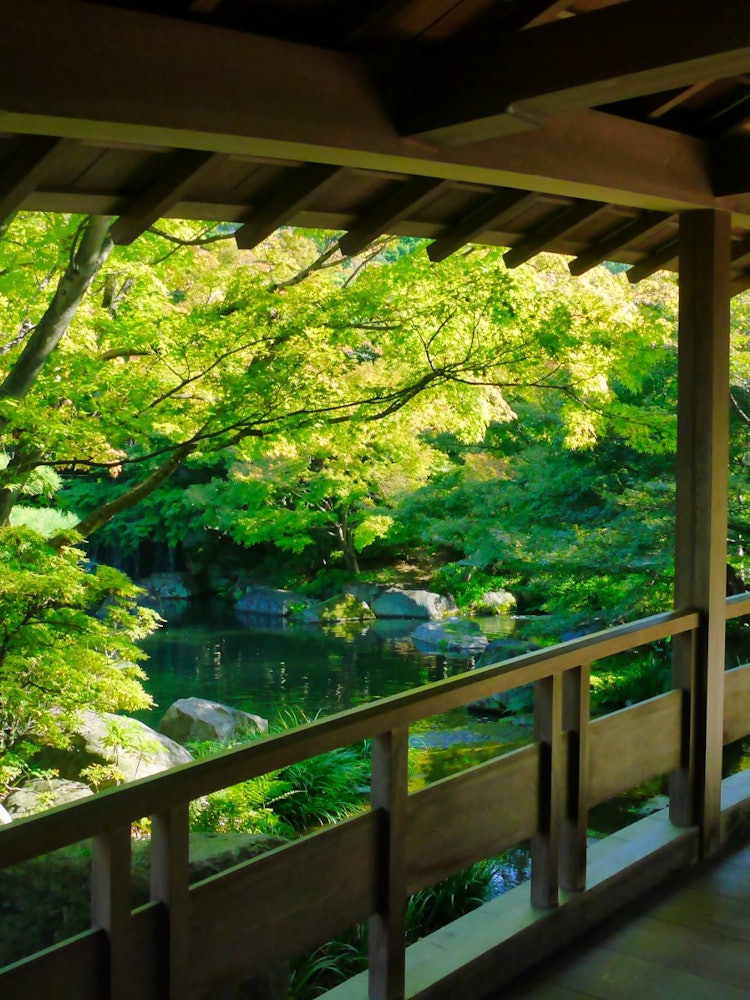 [이미지1]효고현 히메지시에 있는 고코엔 정원.10,000평의 평이 있는 광대한 정원입니다. 세계 유산 히메지 성의 전망에서 볼 수있는 아름다운 일본식 정원입니다. 9개의 정원으로 구성되어 