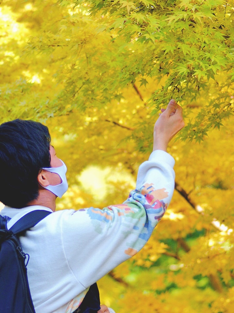 [相片1]我拍了一張愛人在秋葉美麗的花園裡的照片。與秋葉色的日本花園約會也很有趣。在享受抹茶和日本甜點的同時，看到染得很漂亮的樹木是一個幸福的時刻。