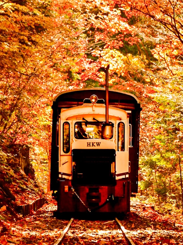 [Image1]It is the Akasawa Forest Railway located in the Akasawa Natural Recreation Forest in Nagano.I photog