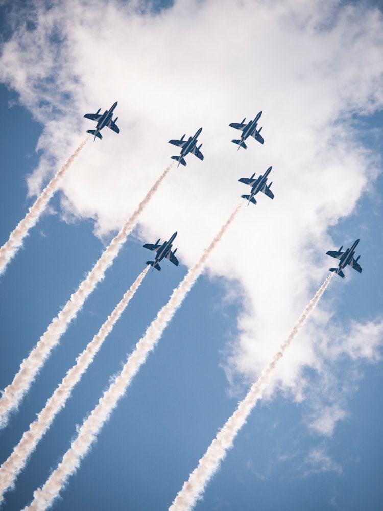 [Image1]The day the Blue Impulse flew over Tokyo.Everyone looked up at the sky in unison.