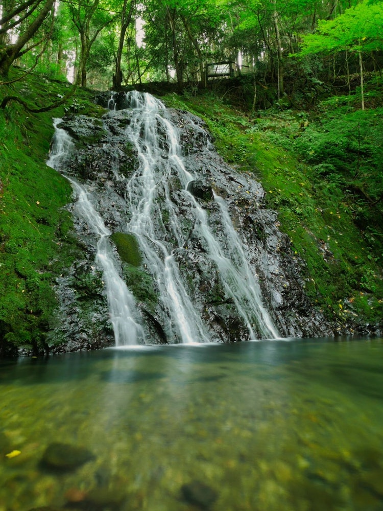 [Image1]It is a koto-playing waterfall located in Mimasaka City, Okayama Prefecture.If you go to the back of