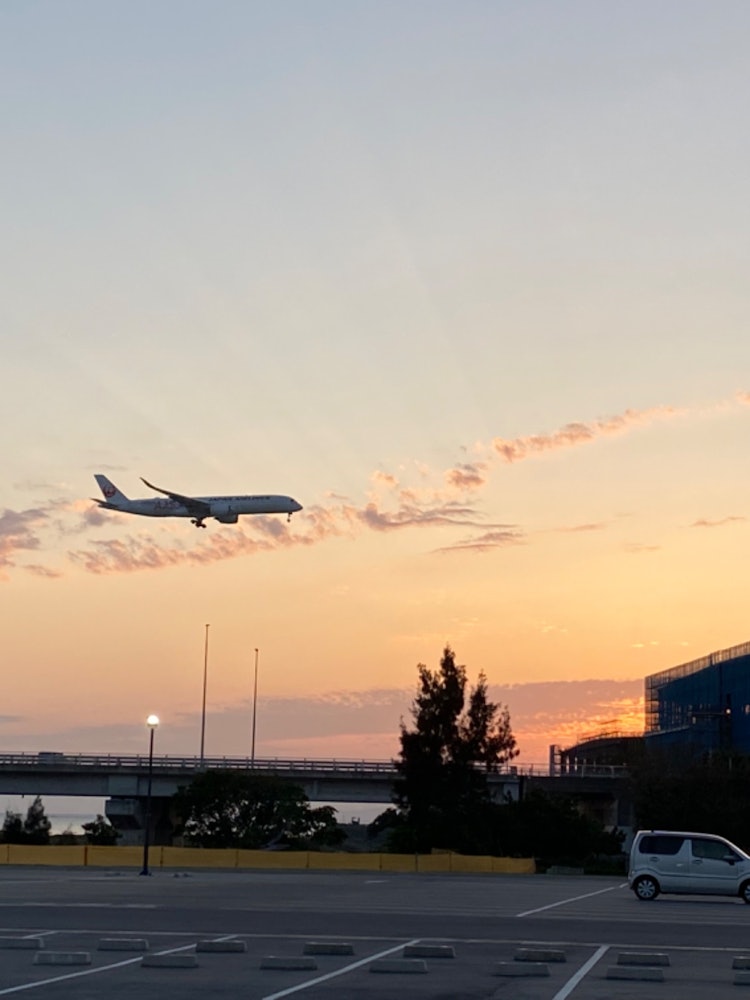 [相片1]您可以在着陆前看到日落和飞机。