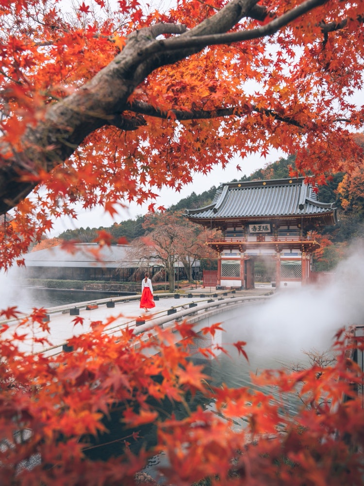 [Image1]Autumn 🍁 at Katsuoji Temple