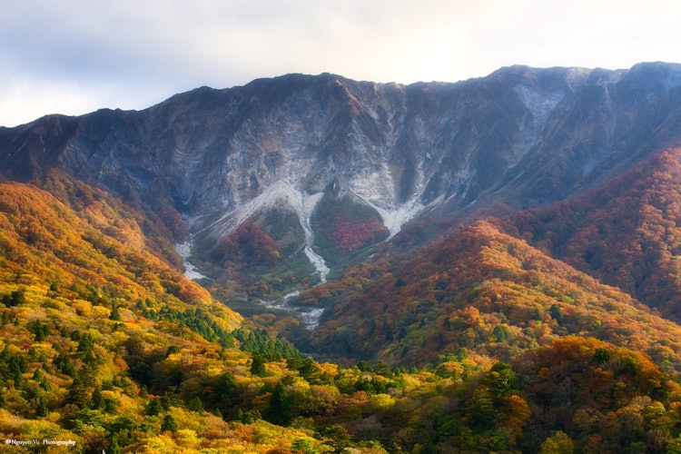 [이미지1]일본의 자연오야마 전망대에서 스키장과 단풍의 멋진 전망이었습니다.
