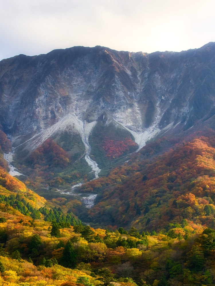 [Image1]Nature in JapanIt was a wonderful view of the ski resort and autumn leaves from the Oyama overlook.