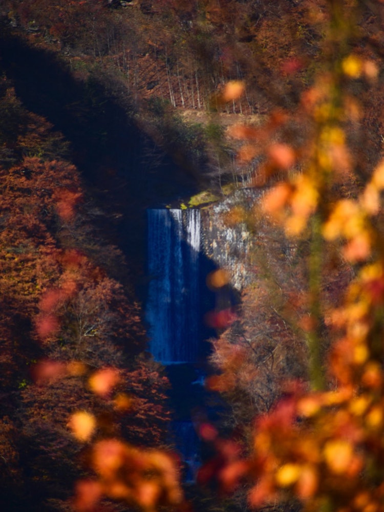 [相片1]了解未知。从Akechideira索道地下室可以看到一个不知名的小瀑布。瀑布周围环绕着色彩缤纷的树叶，使整个氛围非常美丽。