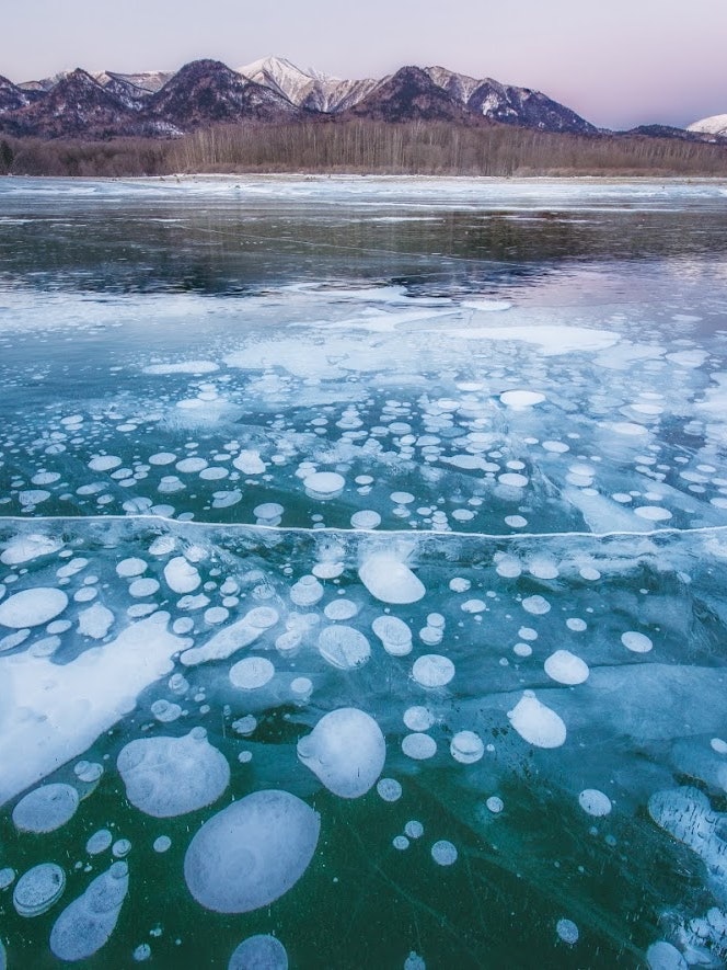[相片1]可以说是据说每50年发生一次的神奇景象，但是在北海道上士幌的沼平湖上，当年结冰的湖面上洒满了无数神奇的冰泡。
