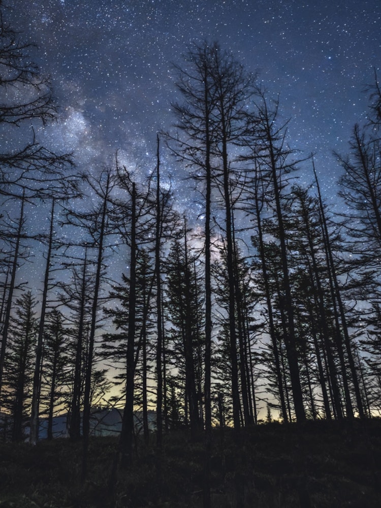 [Image1]Starry sky in early summer