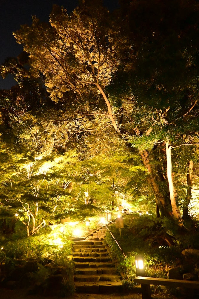 [이미지1]달을 떠올리다 도쿠가와 정원 구경 달 파티 🌕나고야, 아이치　이 이벤트는 💡 정확히 한 달 전입니다 (2023/09/29)조명은 매우 아름다웠고 모든 곳에서 사진 명소였습니다 ✨.